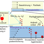 Schematische Darstellung des PRODIS-Projektes